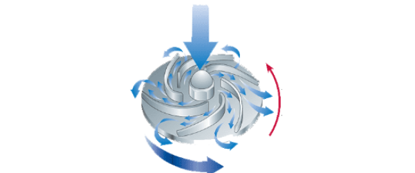 Image module